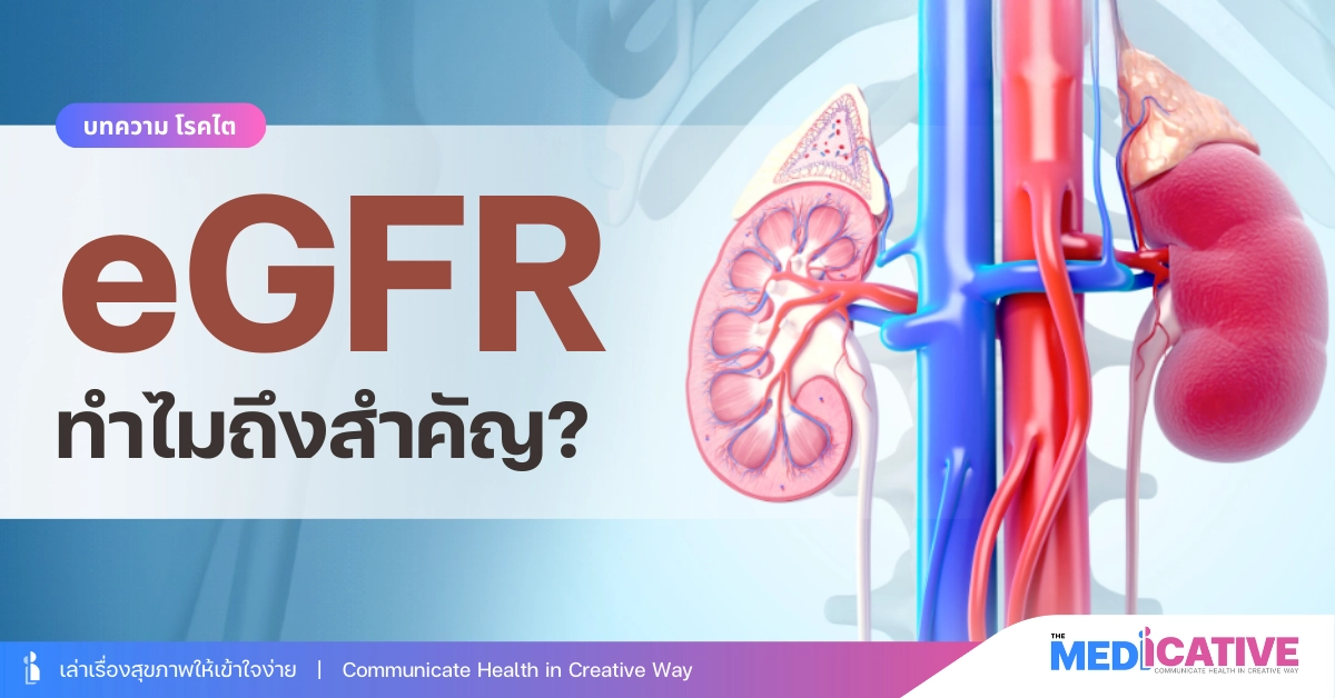 ค่า eGFR คืออะไร? ค่าตรวจเลือดสำคัญที่บอกความเสี่ยงโรคไต